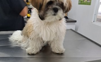 Veterinaria Dr. Estuvier