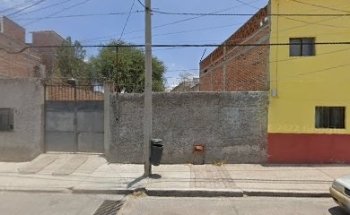 Veterinaria REINO Animal