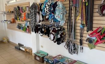 Little Friends Veterinaria