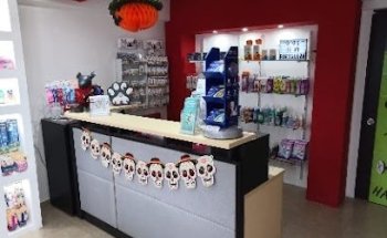 Clinica Veterinaria Animals