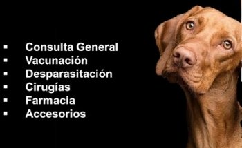 Servicios Médicos Veterinarios