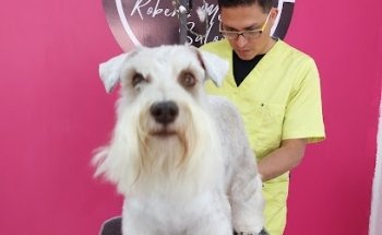 Veterinaria cat calimaya