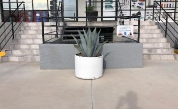 Veterinaria Exopet's Juarez