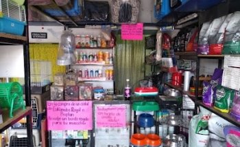 Clínica Veterinaria y Estética Canina