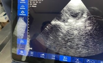 Clínica Veterinaria 