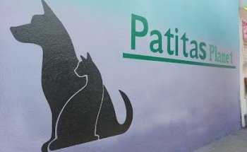 Clínica veterinaria Patitas planet