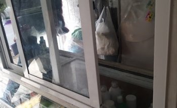 VETERINARIA LA KROKETA