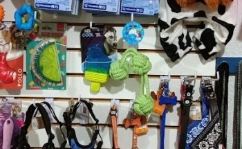 Consultorio Veterinario Guardianes de la Salud