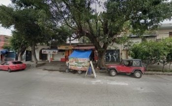 Veterinaria las coatas cereales semillas y algo mas