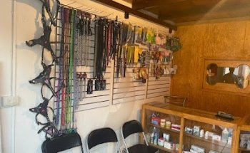 Clínica Veterinaria Ángeles