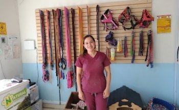 Albergue y veterinaria Corazón Canino