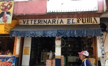 Veterinaria El Puma