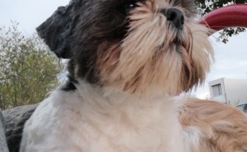 Acuario y Veterinario