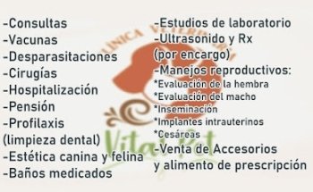 Veterinaria Vital Pet