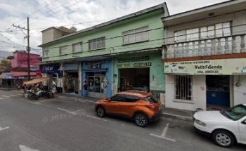 Clínica veterinaria Vet's Friends, Dra. Angeles