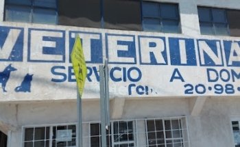 VETERINARIA EL PERRO