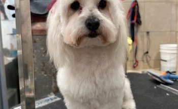 Veterinaria y Granero Pegueros