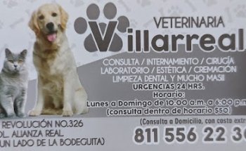 Clinica Veterinaria Villarreal