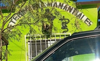 Veterinaria Manantiales