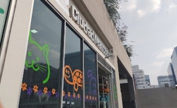 Ciudad Mascota Zurich