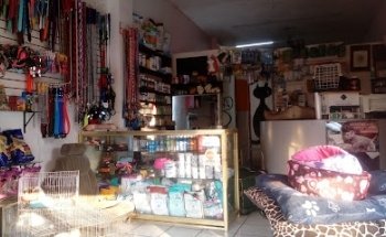 Clinica Veterinaria Planeta Animal