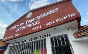 Veterinary Specialty Clinic