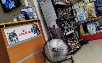 Clínica Veterinaria Dogtor Cats