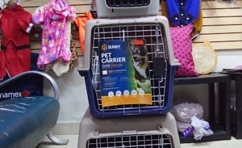 Veterinaria Morralito