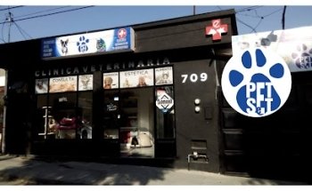 Pet Set Panorama (León)