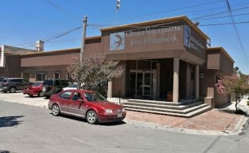 San Francisco Veterinary Clinic