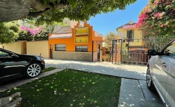 Todo Para Perros Y Gatos