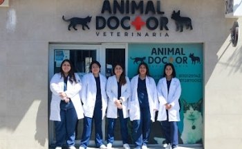 Animal Doctor Veterinaria