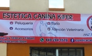 Estética Canina Kifer