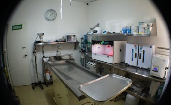 Clínica Veterinaria Arboledas