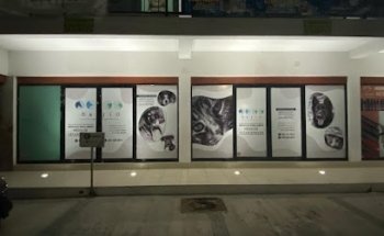 Centro de Diagnóstico Veterinario Bajío