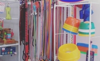 Veterinaria TlaquePet