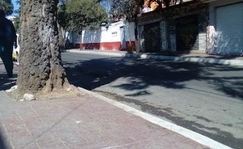 Clínica Veterinaria Navidad