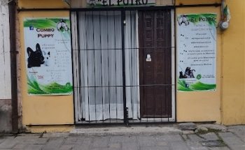 Veterinaria El Potro