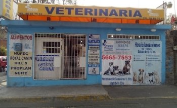 Medicel Veterinaria