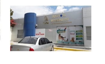 Alpha Clínica Veterinaria