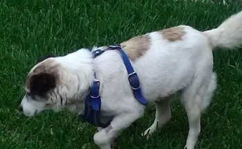 Mundo Animal - Clínica de Especialidades Veterinarias