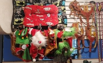 VETERINARIA BIENESTAR ANIMAL