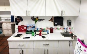 MASKOTTCHEN HOSPITAL VETERINARIO