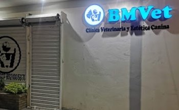 BMvet