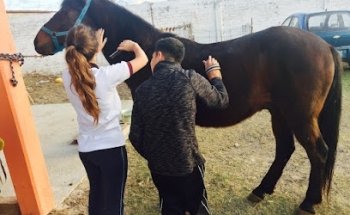 Centro Veterinario Simón