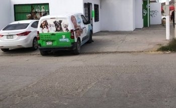 Son Pets veterinaria suc Reforma