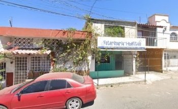 Veterinaria huellitas