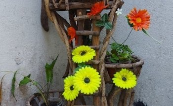 Mascotitas Clinica Veterinaria y Estética Canina