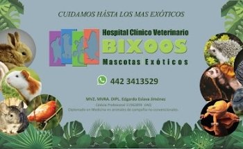 Bixoos. Hospital Clínico Veterinario. Mascotas/ Exóticos.