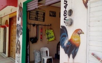 Veterinaria los amigos c15